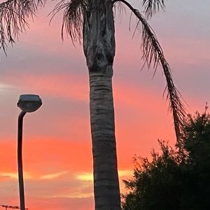 Meet your Posher, Milani